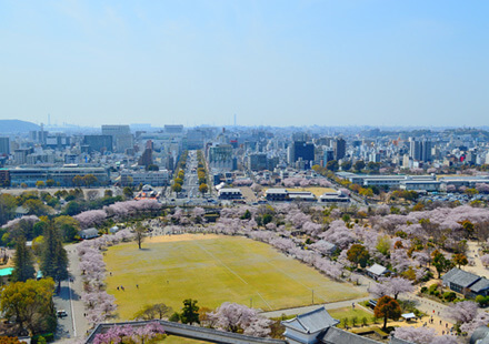 姫路市を中心に地域に密着したフットワーク